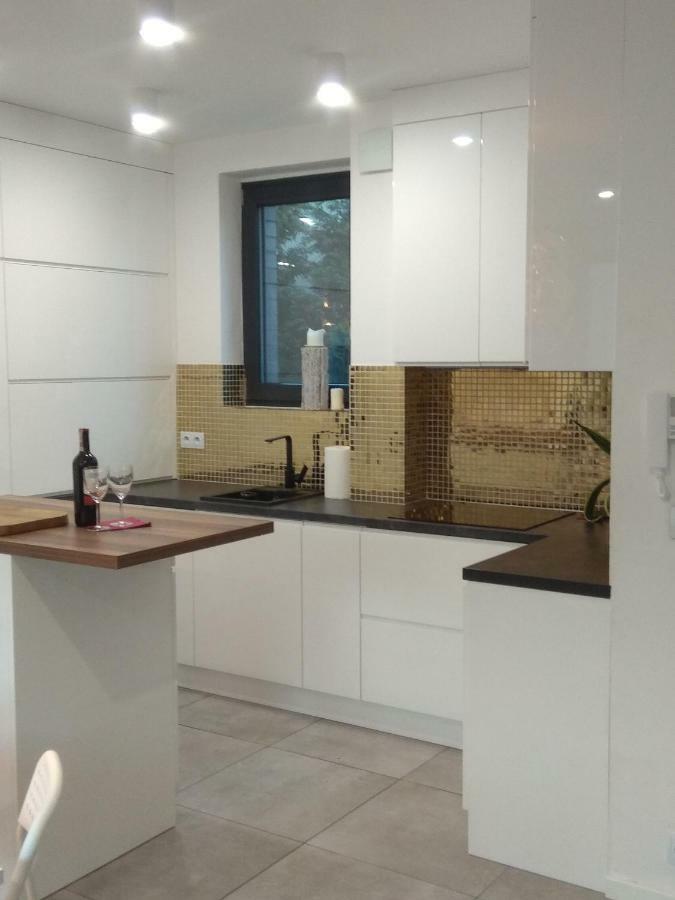Luxury Apartment With Own Parking Chorzów Εξωτερικό φωτογραφία