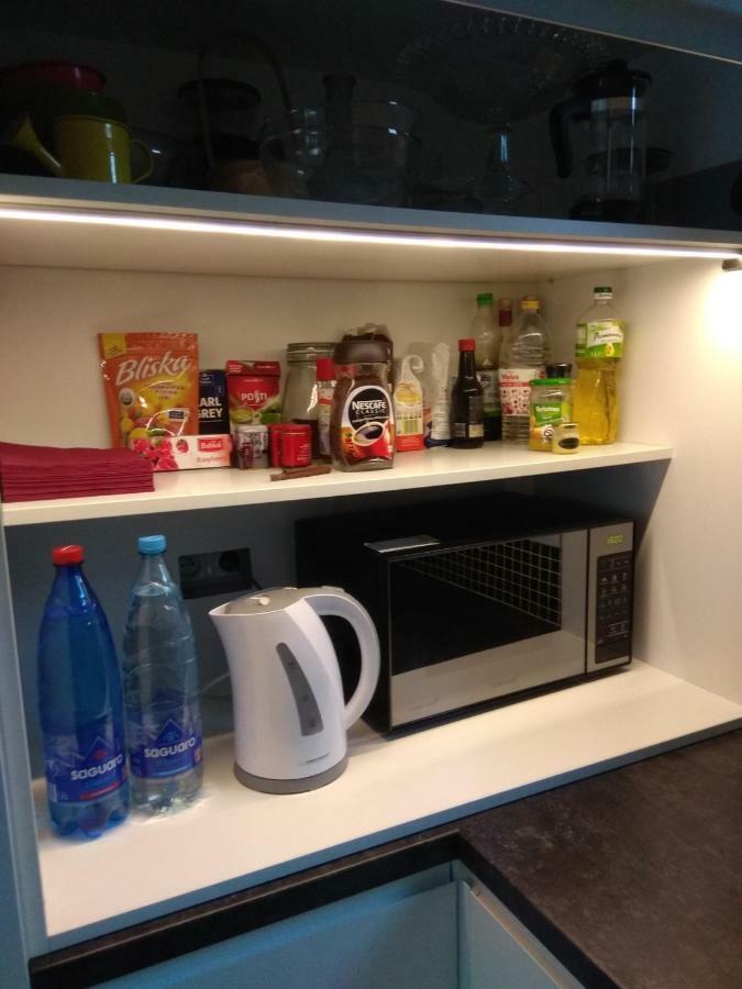 Luxury Apartment With Own Parking Chorzów Εξωτερικό φωτογραφία